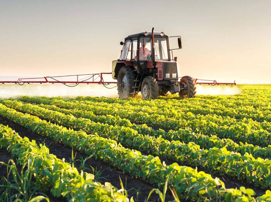 Simple Ways to Plan and Execute Your Harvest