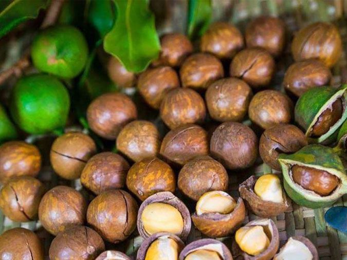 7 cách ăn hạt macca độc đáo, ngon miệng có thể bạn chưa biết