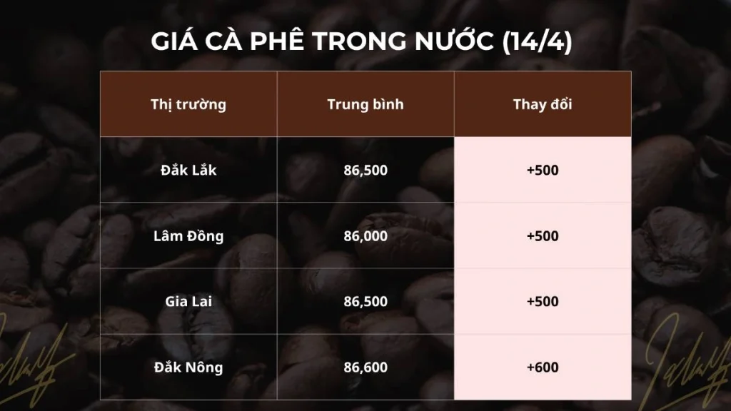 Giá cà phê đảo chiều tăng, tâm lý thị trường khởi sắc