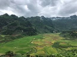 Những vùng nổi tiếng sản xuất trà Shan Tuyết tại Việt Nam