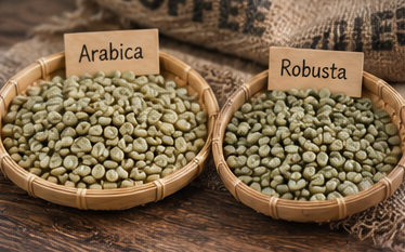 Robusta hay Arabica ngon hơn? Phân biệt hương vị, caffeine và cách chọn cà phê